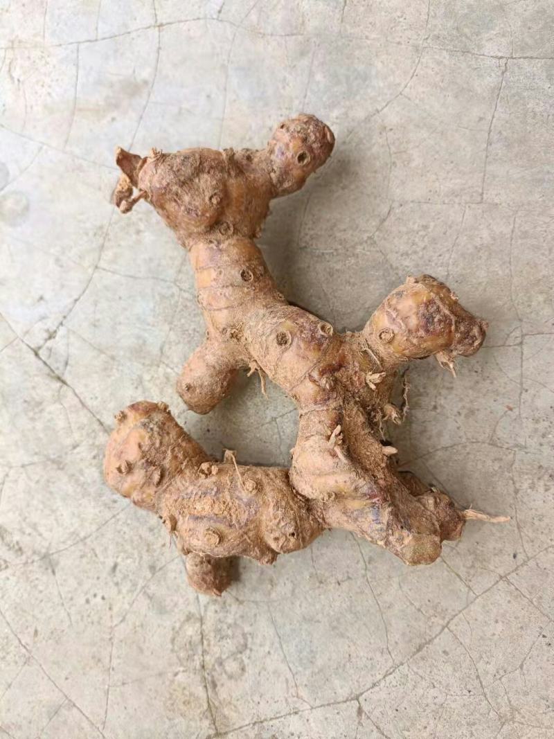 南姜山姜老姜潮汕牛肉火锅卤鹅卤味用