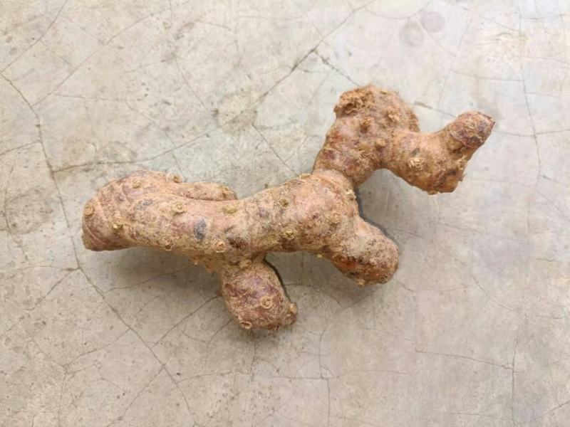 南姜山姜老姜潮汕牛肉火锅卤鹅卤味用