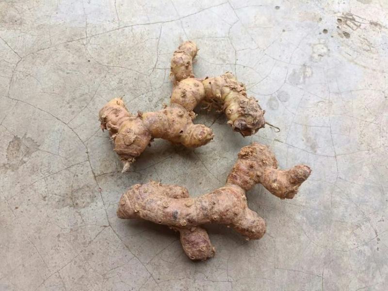 南姜山姜老姜潮汕牛肉火锅卤鹅卤味用