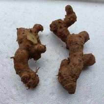南姜山姜老姜潮汕牛肉火锅卤鹅卤味用