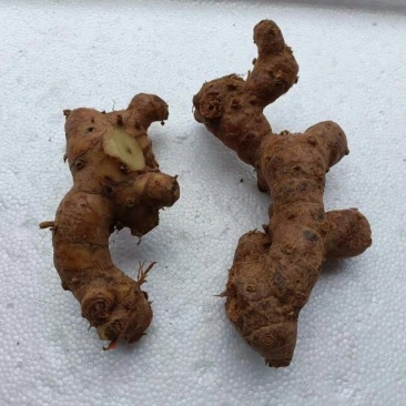南姜山姜老姜潮汕牛肉火锅卤鹅卤味用