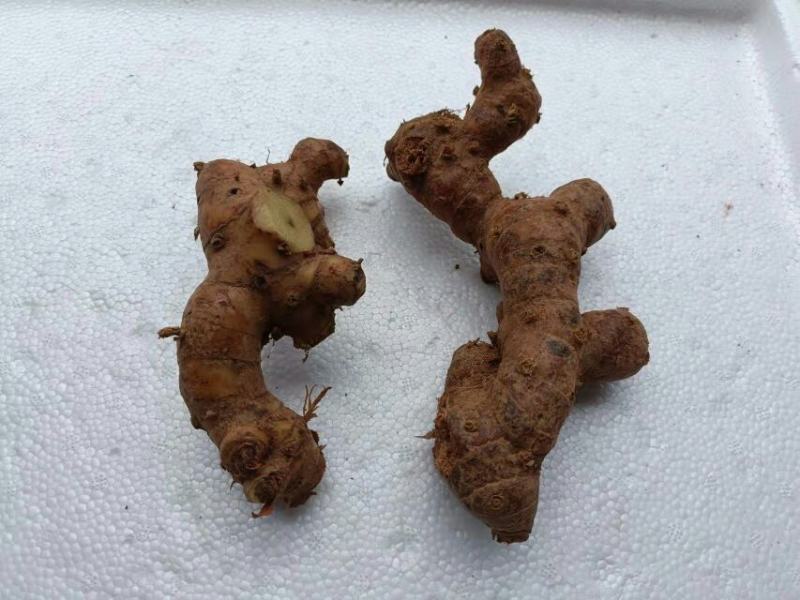 南姜山姜老姜潮汕牛肉火锅卤鹅卤味用