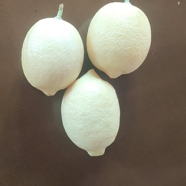 柠檬
