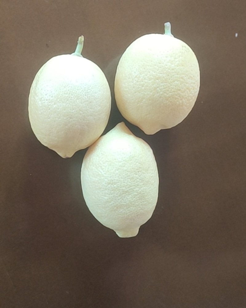 柠檬