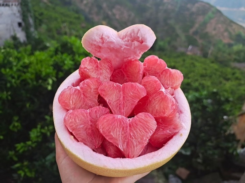 大型蜜柚基地！皮薄肉厚！口感品质具佳。洗果包装一条龙服务