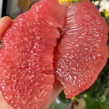 大型蜜柚基地！皮薄肉厚！口感品质具佳。洗果包装一条龙服务