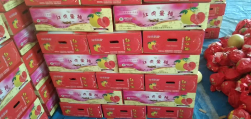大型蜜柚基地！皮薄肉厚！口感品质具佳。洗果包装一条龙服务
