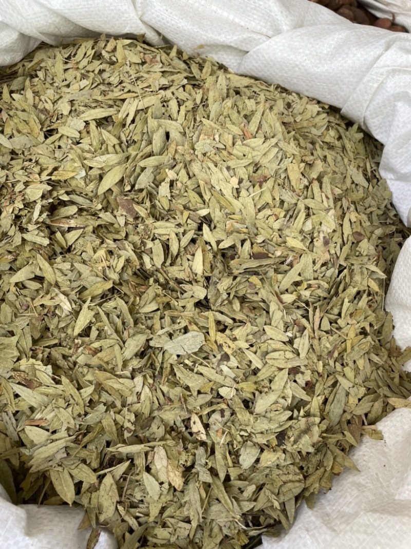 番泻叶泻叶中药材批发量大包邮量大包邮叶泻叶