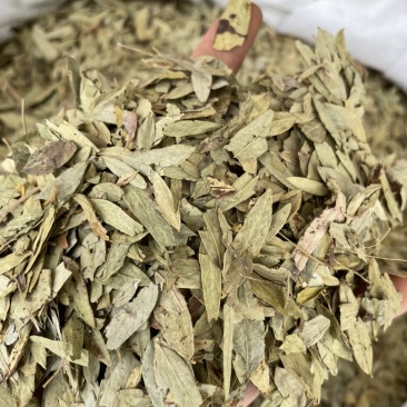 番泻叶泻叶中药材批发量大包邮量大包邮叶泻叶