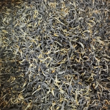 英红九号红茶浓香型