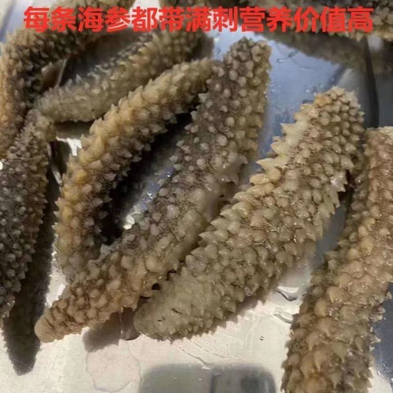 海参干货黑刺参淡干海参黑刺秃参网红火锅米刺参非国产参