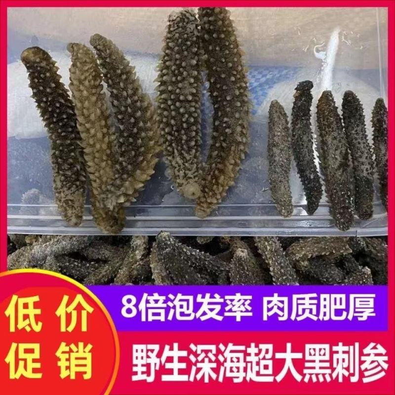 海参干货刺参淡干海参黑刺秃参网红火锅米刺参非国产参