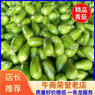 河南青茄子,内黄县青茄大量上市,质量好价格低,一条龙服务