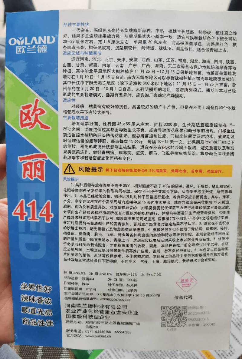 高品质！加长型黑皮线椒辣椒种子欧丽414，深绿墨绿油亮皮