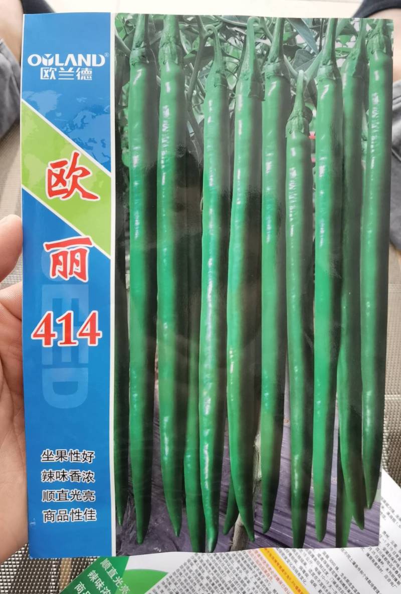 高品质！加长型黑皮线椒辣椒种子欧丽414，深绿墨绿油亮皮