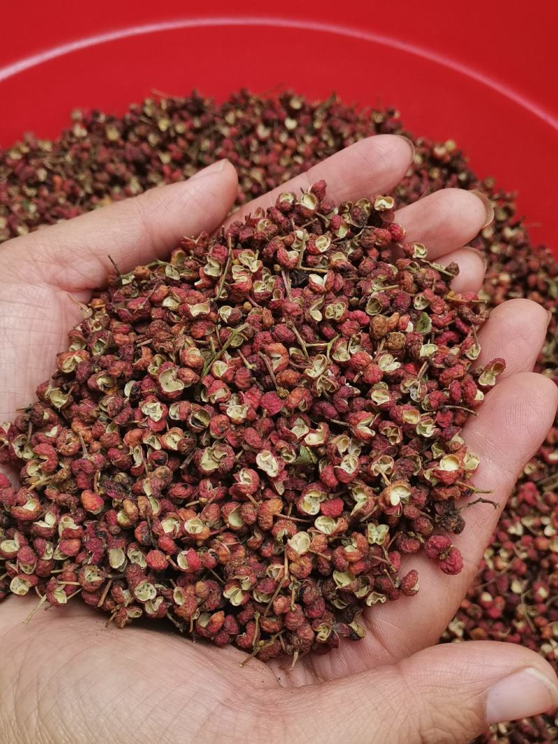 【精品】新货山东大红袍花椒麻味香味足产地直发可视频看货