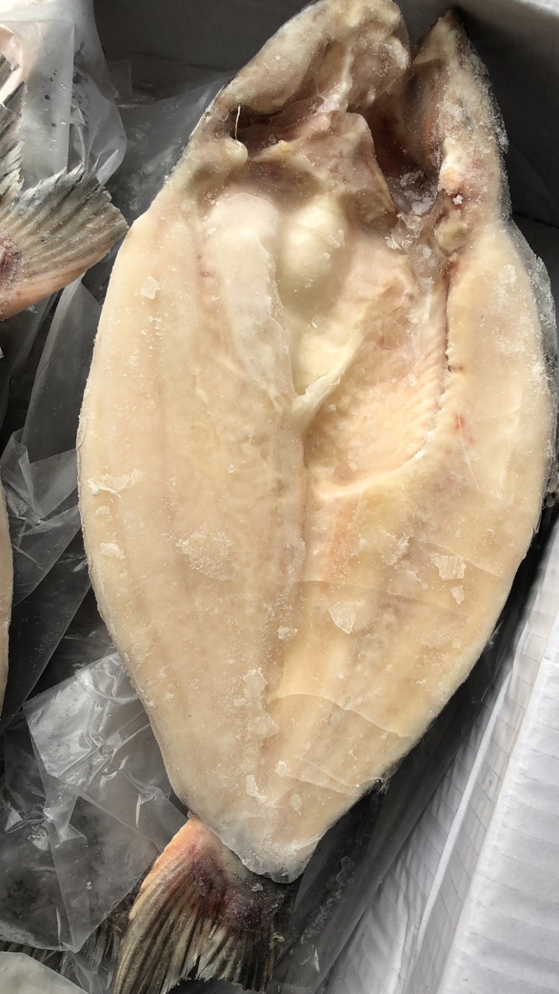 开背巴沙鱼湄公鱼烤鱼凌波鱼带皮烤鱼巴沙鱼块鱼肉湄公鱼