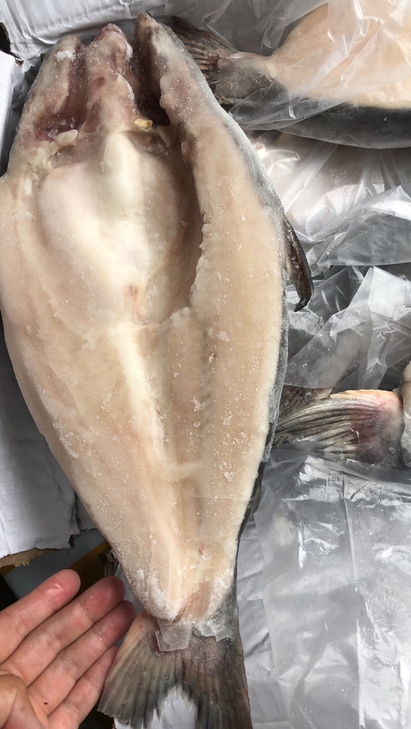 开背巴沙鱼湄公鱼烤鱼凌波鱼带皮烤鱼巴沙鱼块鱼肉湄公鱼