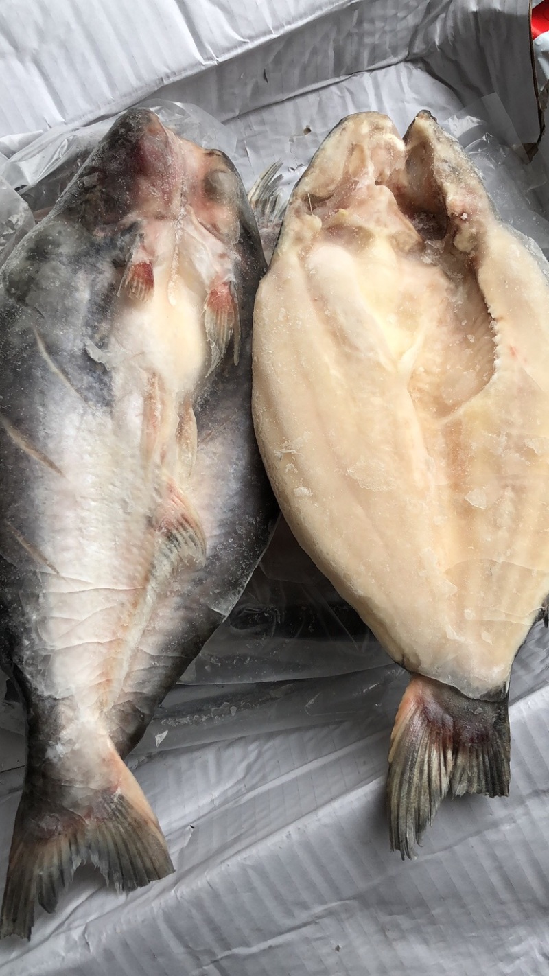 开背巴沙鱼湄公鱼烤鱼凌波鱼带皮烤鱼巴沙鱼块鱼肉湄公鱼