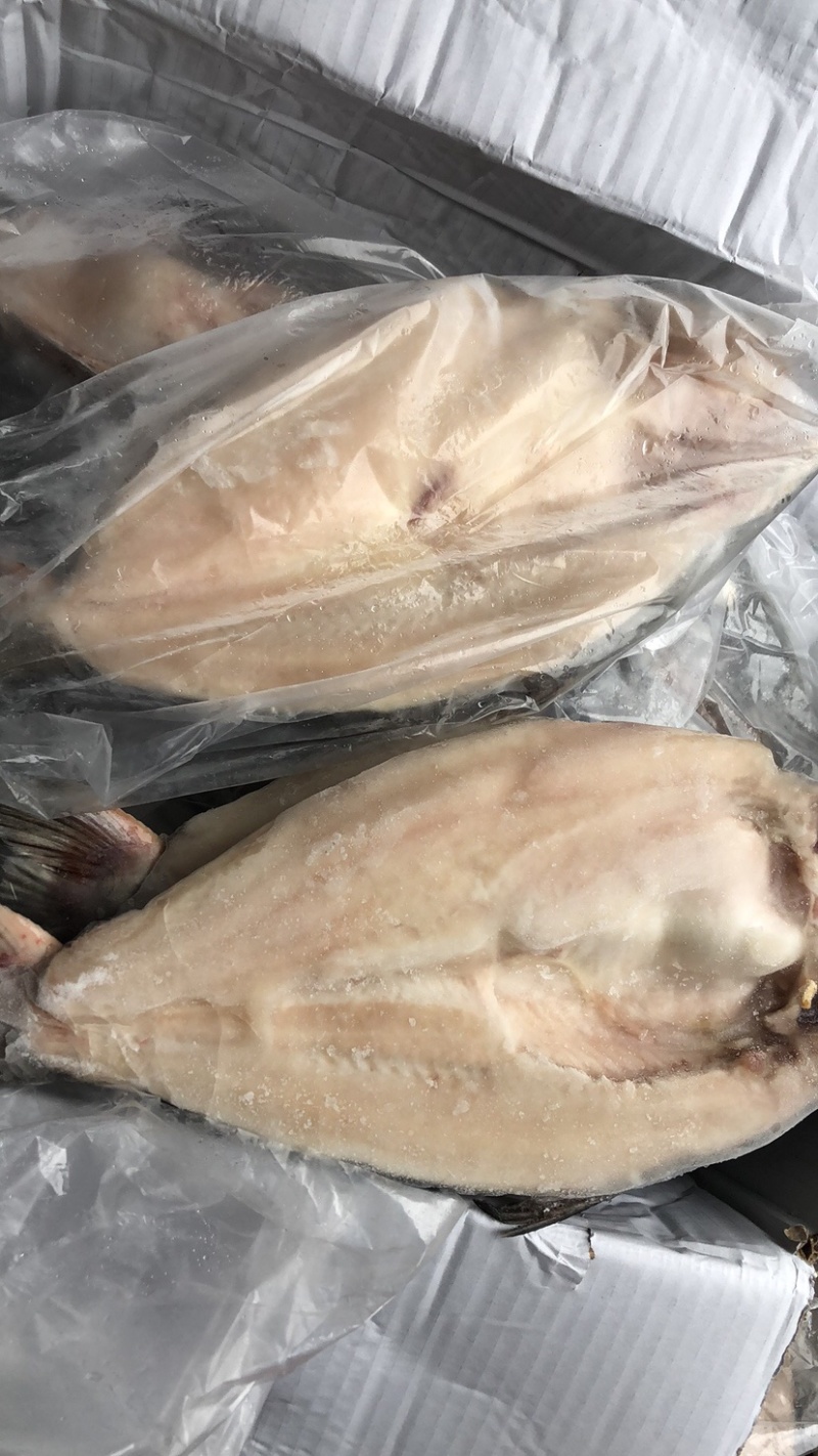 开背巴沙鱼湄公鱼烤鱼凌波鱼带皮烤鱼巴沙鱼块鱼肉湄公鱼