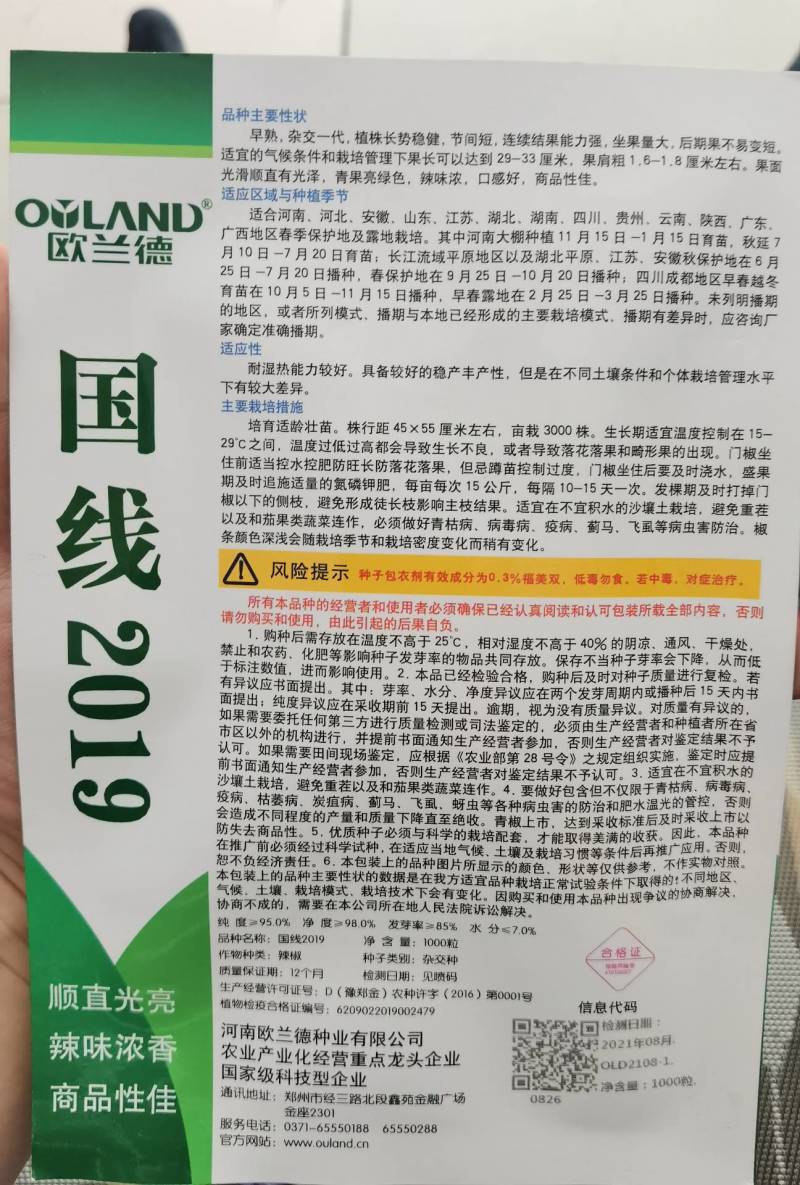 高品质！加长型绿皮线椒辣椒种子国线2019，特长翠绿顺直