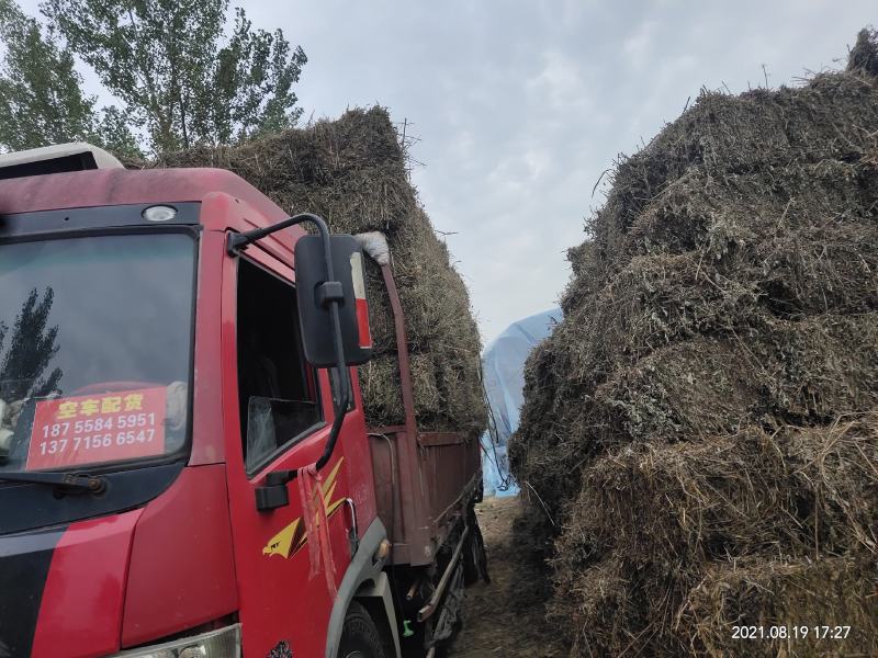 安徽阜阳艾绒一手货源厂家直销，常年有售，批发包邮，，，，