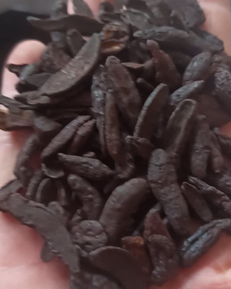香附各种规格香附中药材批发香附产地直销质量保证