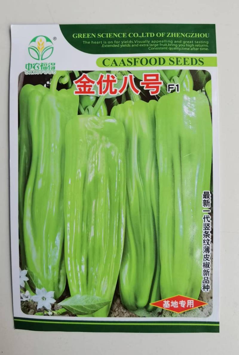 高品质！薄皮泡椒种子金优八号辣椒种子，薄皮早熟高产黄绿皮