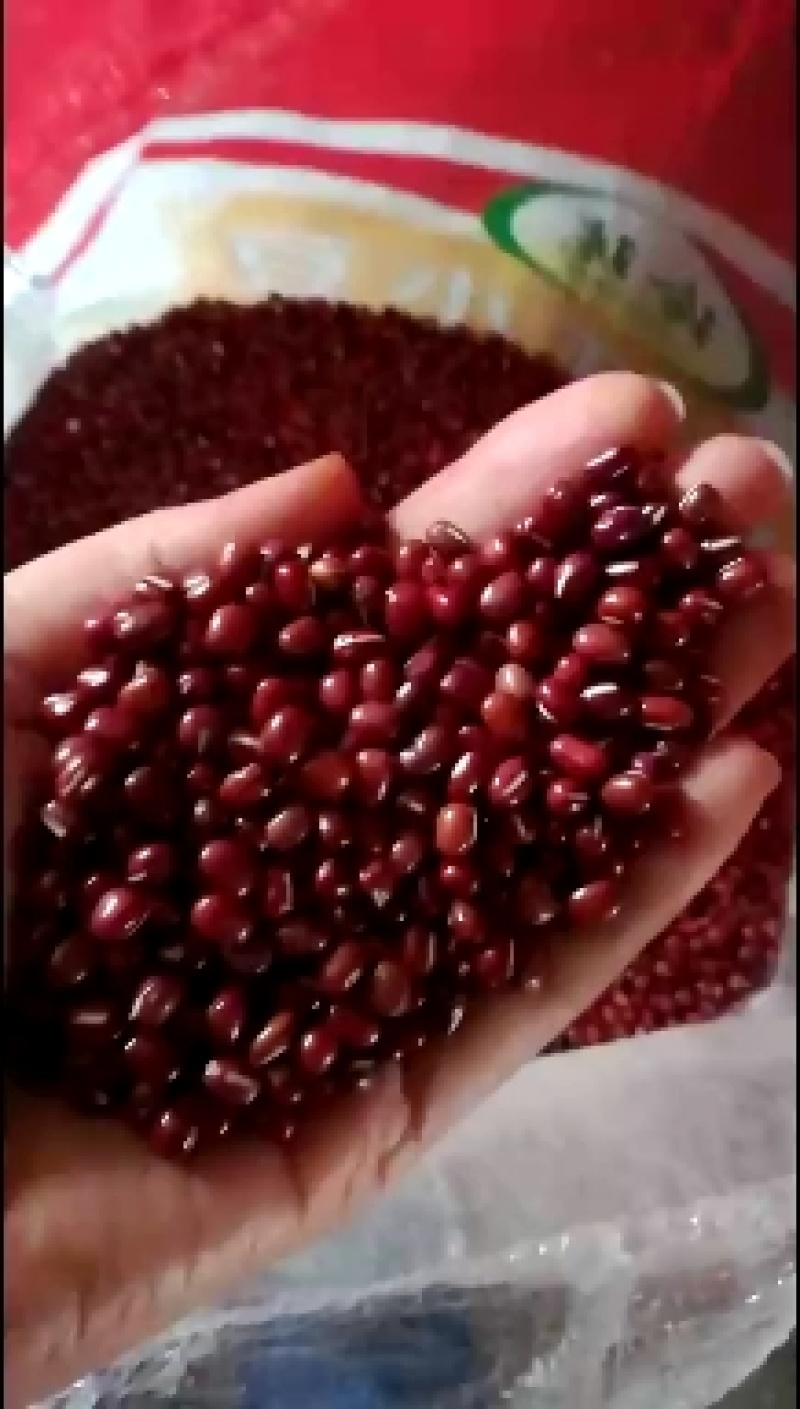 红豆红小豆珍珠粒农家红豆5斤起批散装包邮
