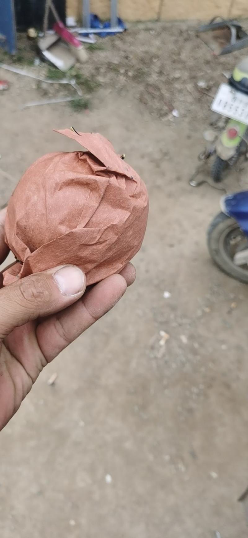 烟台莱阳优质南水梨，甜度高，化渣好，产地直供，质优价廉！