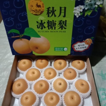 晚秋梨大量供应馆陶县众康果品站大量供应