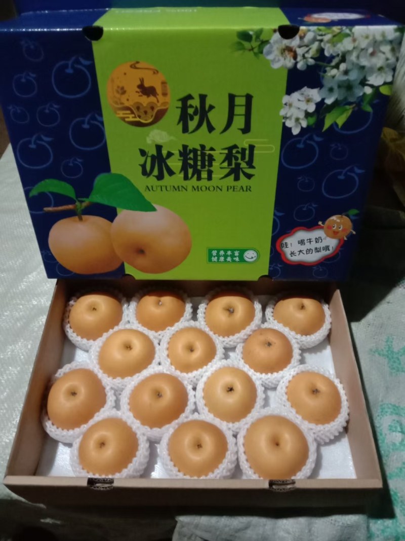 晚秋梨大量供应馆陶县众康果品站大量供应