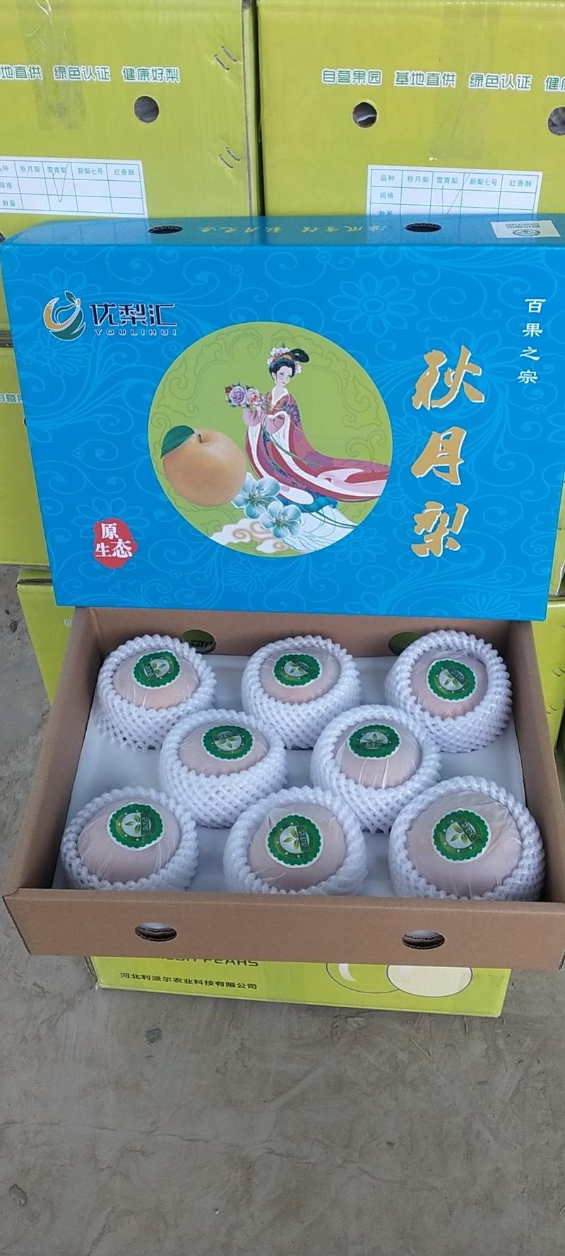 晚秋梨罐头厂货，大量供应馆陶县众康果品站大量供应