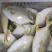 单冻金鲳鱼、北海一手量大价优，物美价廉，价格更低。