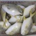 单冻金鲳鱼、北海一手量大价优，物美价廉，价格更低。