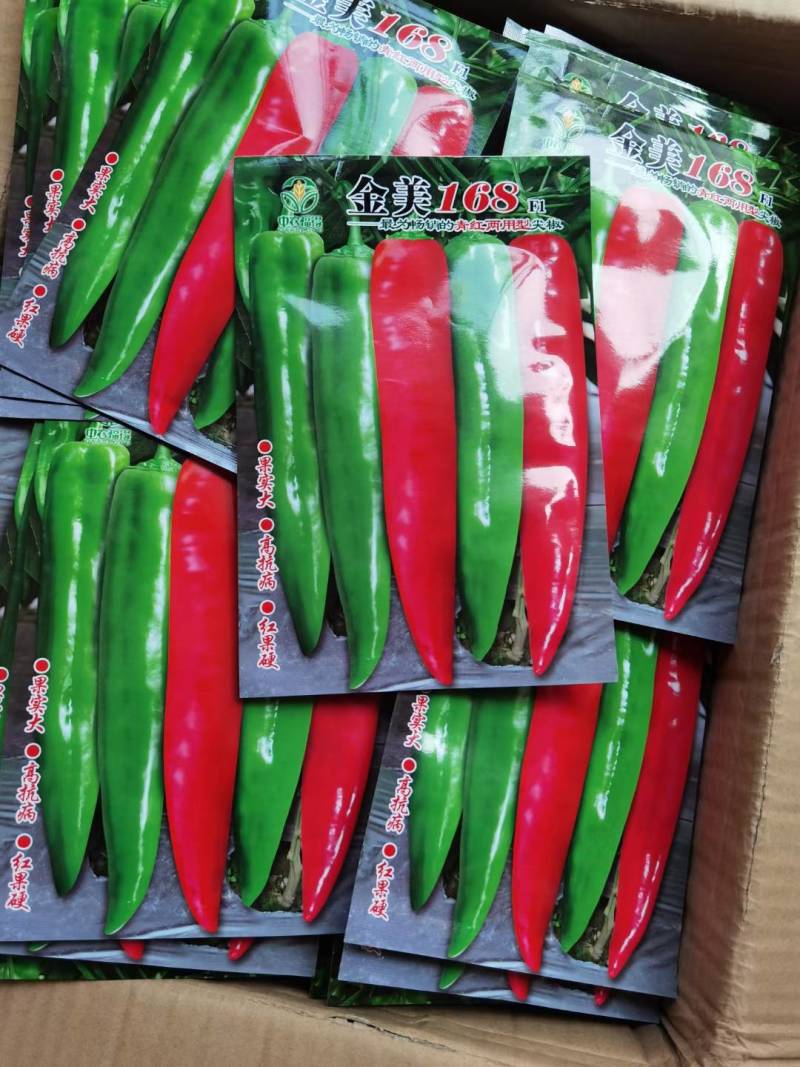 高品质！青红两用型尖椒种子辣椒种子早熟黄绿皮特高产基地