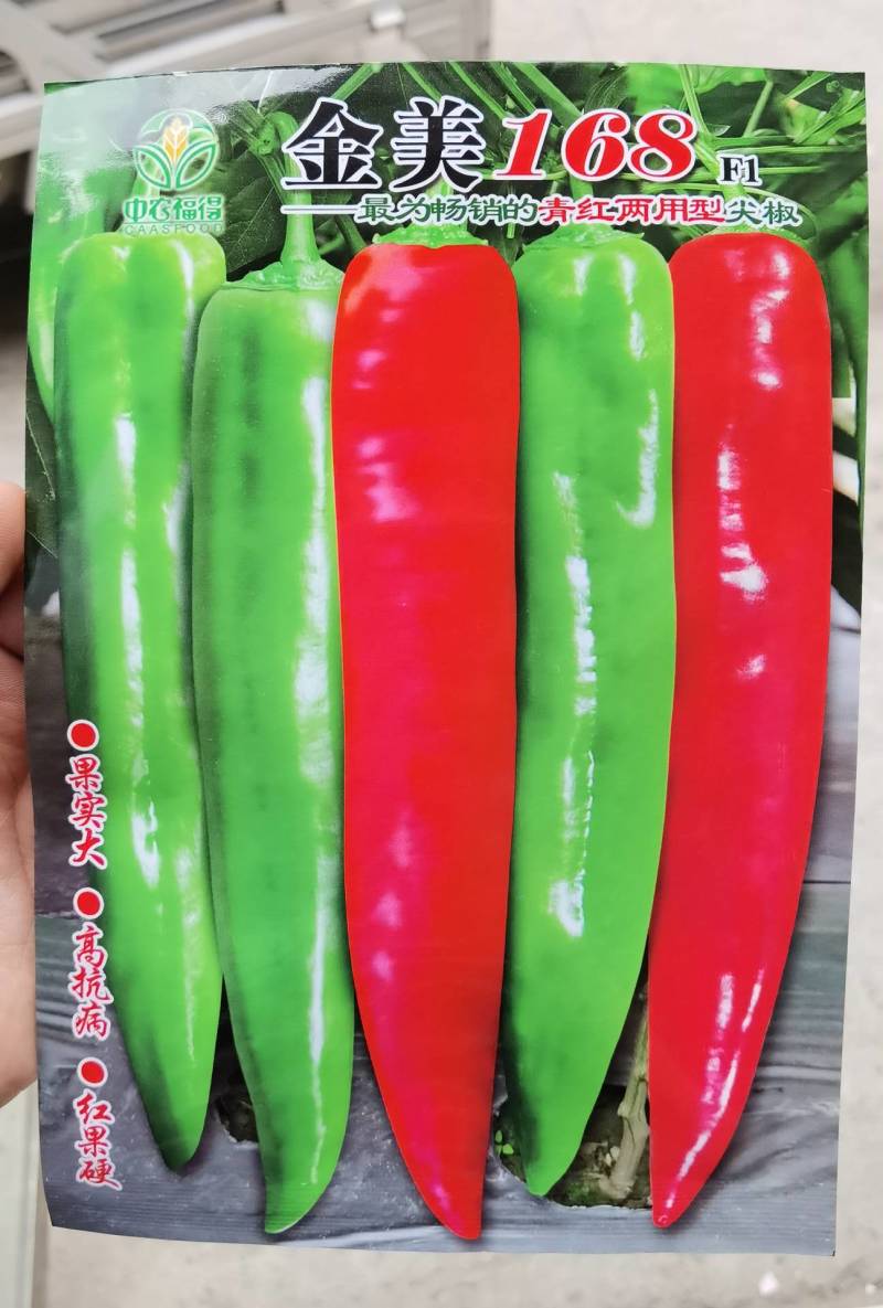 高品质！青红两用型尖椒种子辣椒种子早熟黄绿皮特高产基地