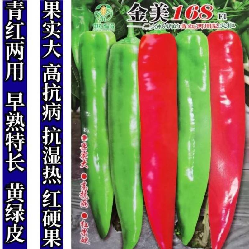 高品质！青红两用型尖椒种子辣椒种子早熟黄绿皮特高产基地