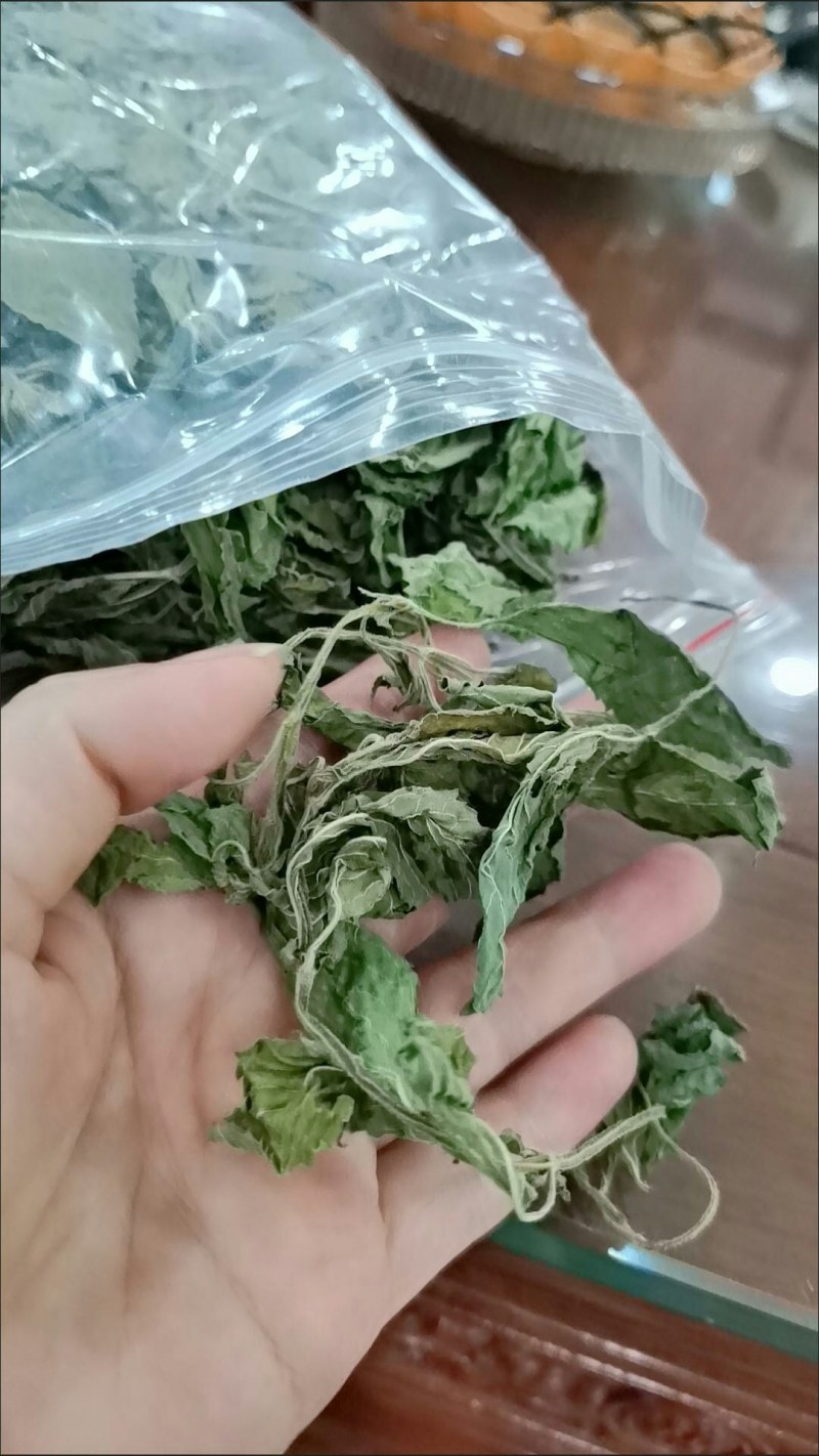 薄荷叶全干薄荷叶茶食用薄荷叶泡水泡茶清凉提神无硫无添