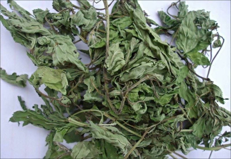 薄荷叶全干薄荷叶茶食用薄荷叶泡水泡茶清凉提神无硫无添