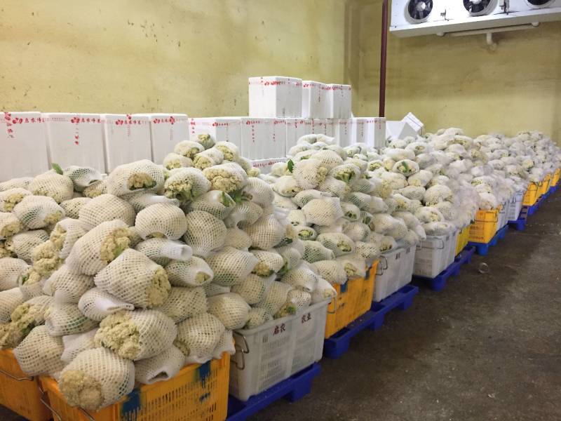 【推荐】秋季松花已大量上市，欢迎新老顾客进店选购。