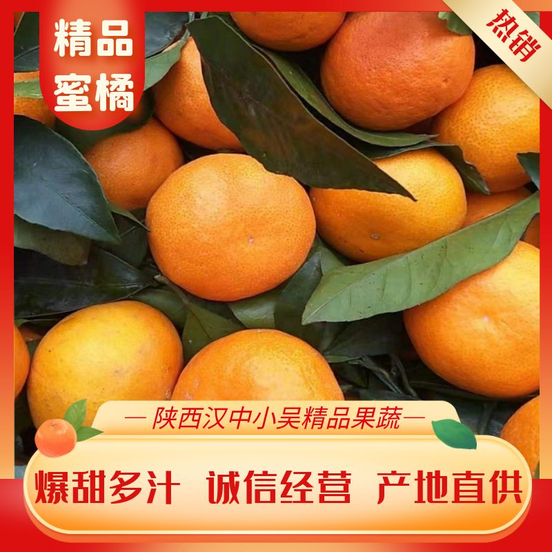 精品汉中洋县蜜橘产地直供品质优良欢迎来电咨询订购