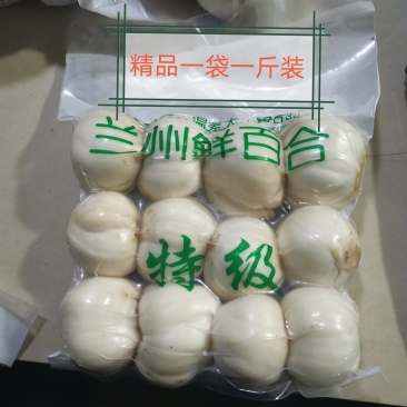 正宗兰州百合春季现挖现发自产自销品质保证