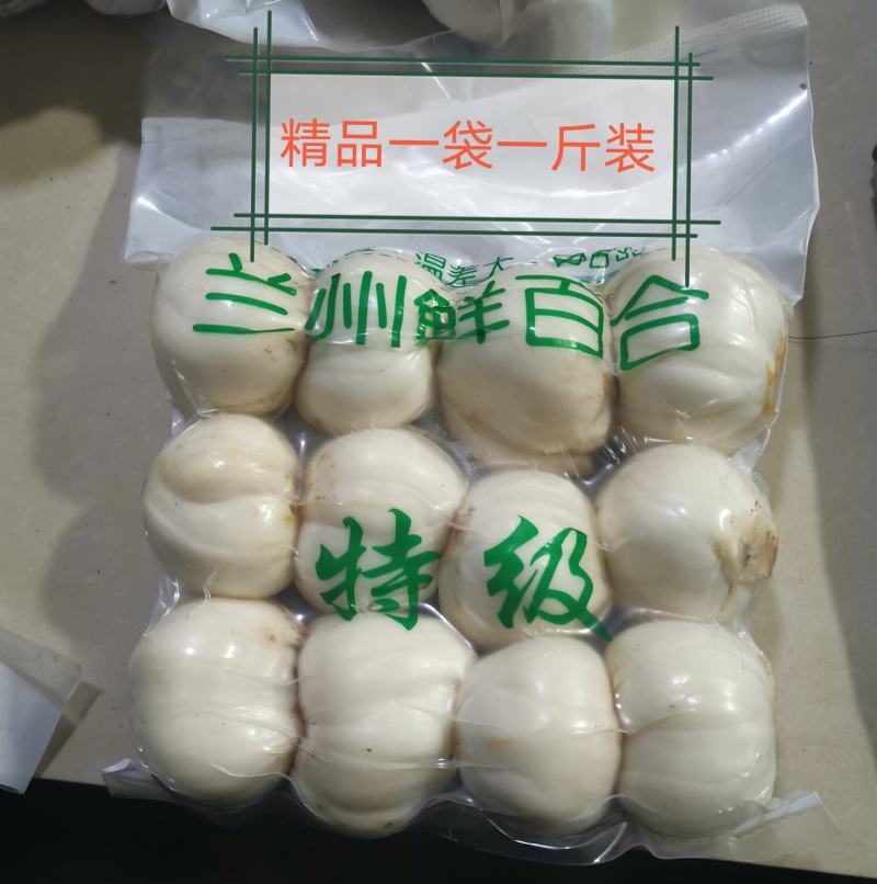正宗兰州百合春季现挖现发自产自销品质保证