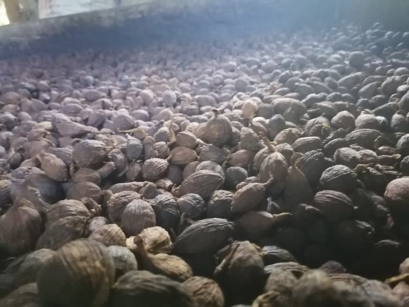 草果会友