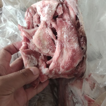 月牙骨，小块月牙骨，月牙骨条，带肉月牙骨，多肉月牙骨