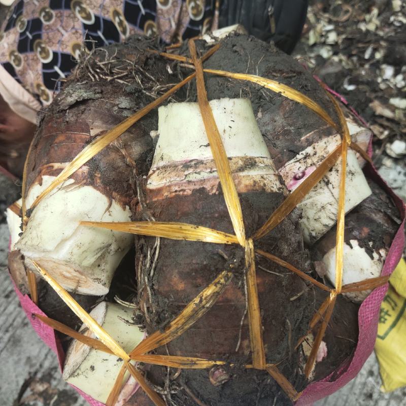 乐昌芋头糯粉，全粉芋头