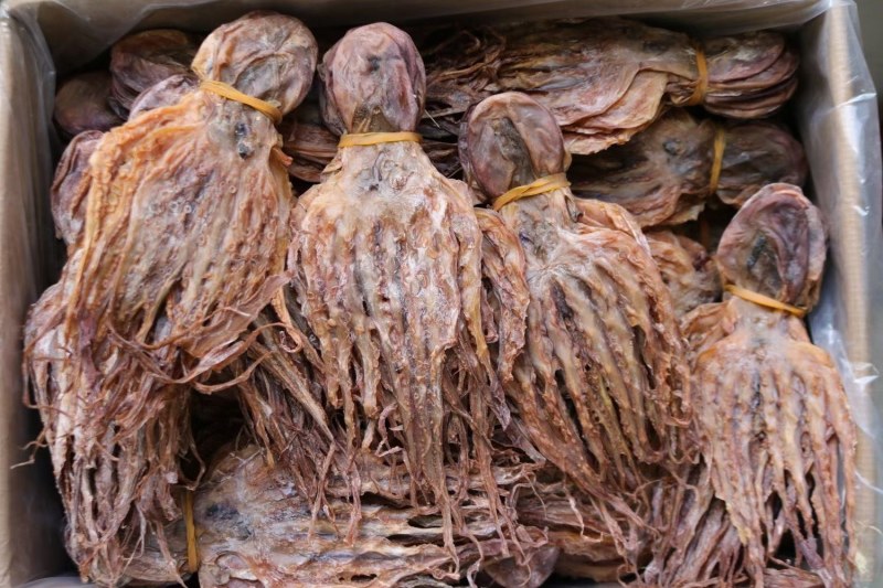 AAA特级扎把章鱼干香味味道好干度特好