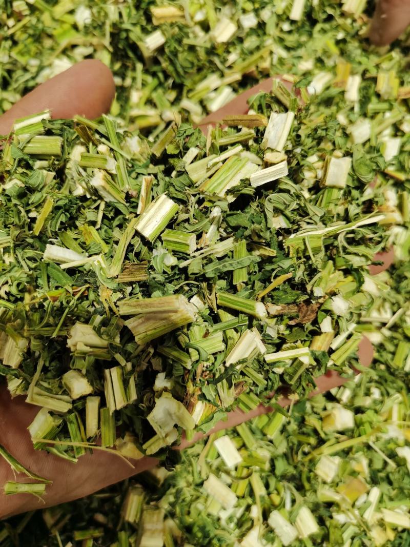 益母草，颜色青，质量好