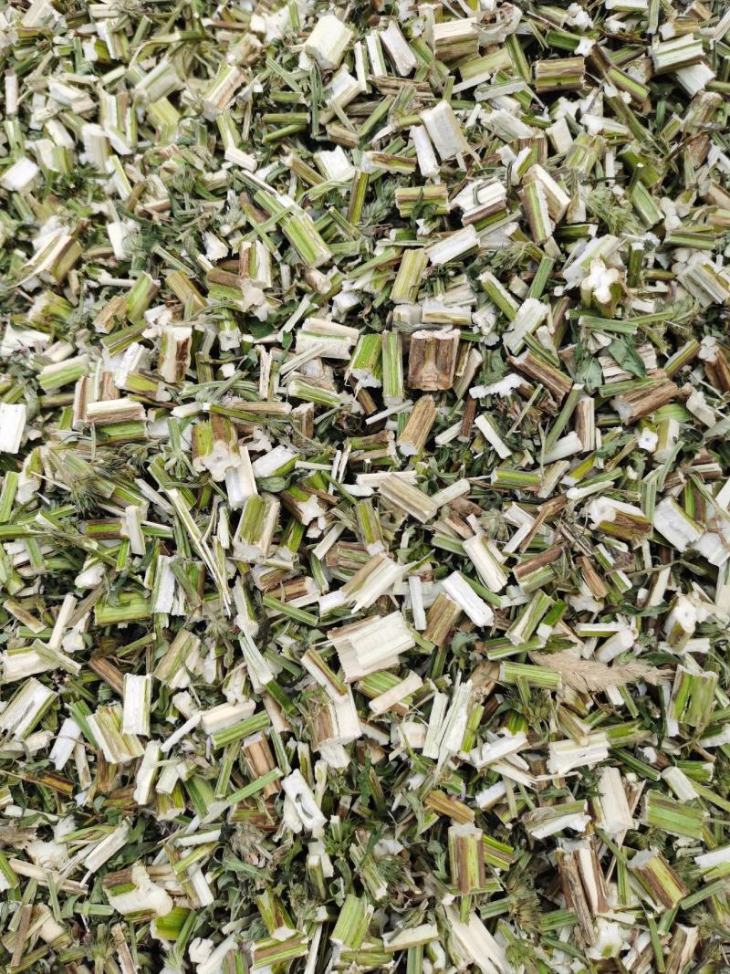 益母草，颜色青，质量好